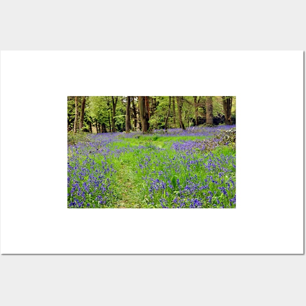 Bluebell Woods Basildon Park Berkshire UK Wall Art by AndyEvansPhotos